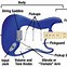 Chơi Đàn Guitar Tiếng Anh Là Gì